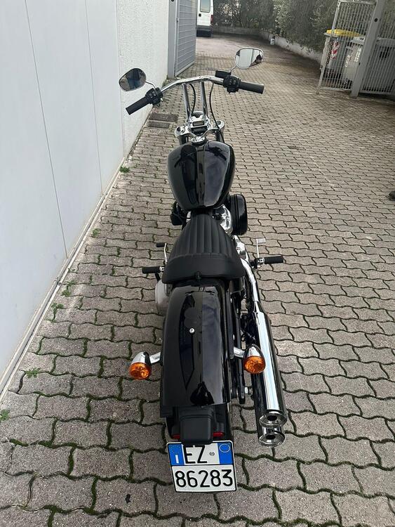 Harley-Davidson Softail Standard (2021 - 25) (3)