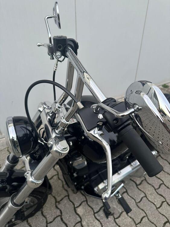 Harley-Davidson Softail Standard (2021 - 25) (5)