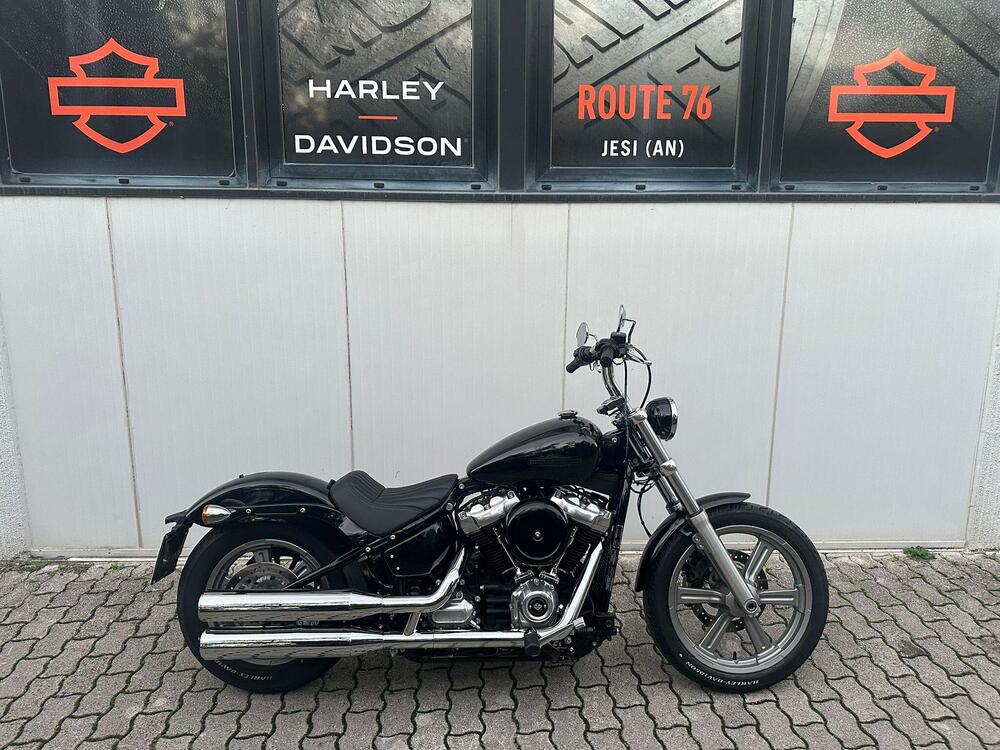 Harley-Davidson Softail Standard (2021 - 25)