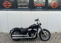 Harley-Davidson Softail Standard (2021 - 25) usata