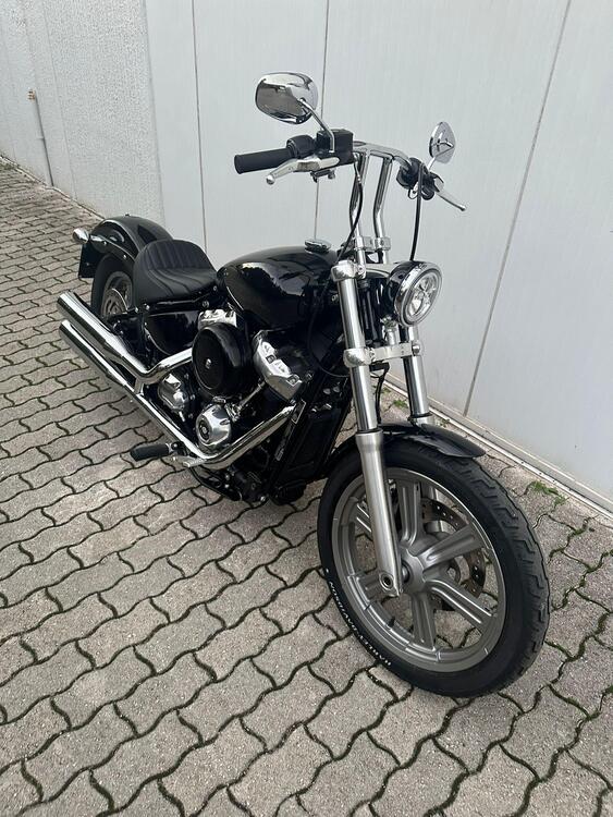 Harley-Davidson Softail Standard (2021 - 25) (4)