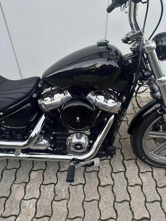 Harley-Davidson Softail Standard (2021 - 25) (2)