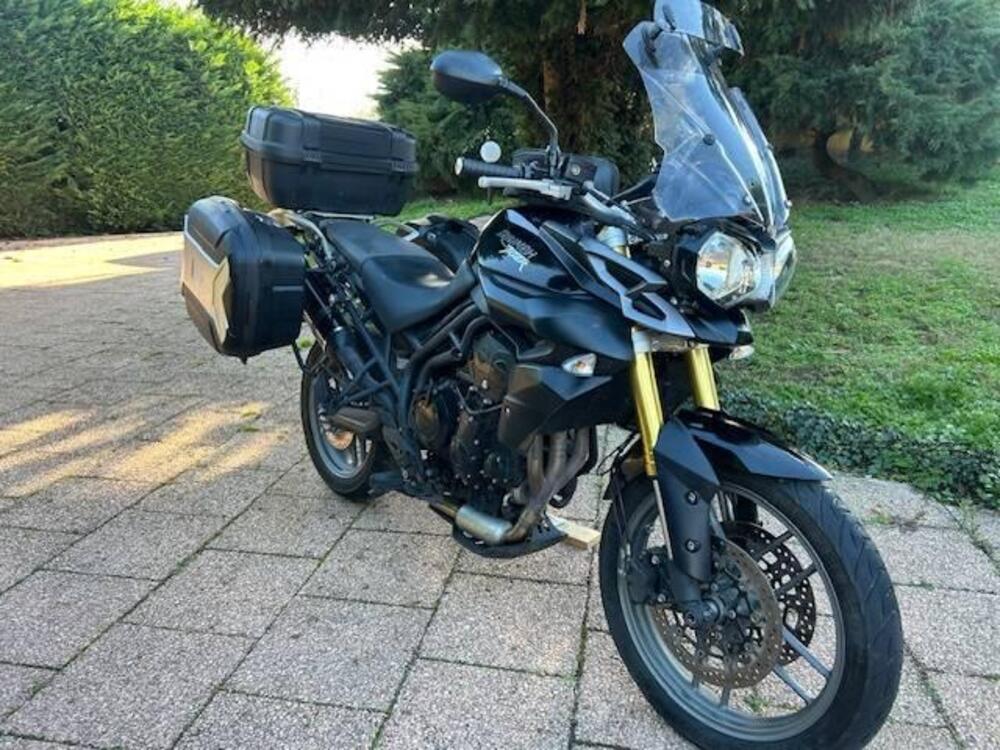 Triumph Tiger 800 XR (2015 - 17) (3)