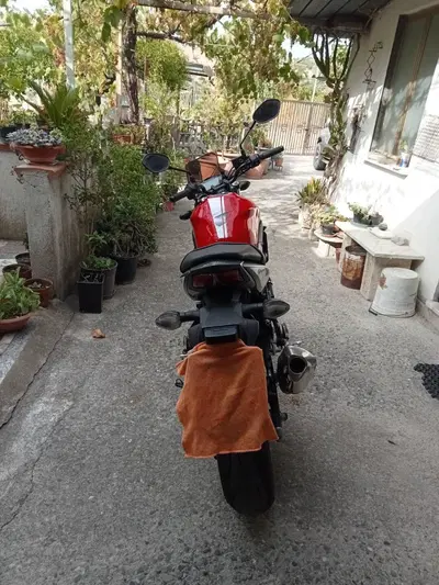 Suzuki SV 650 (2016 - 20) usata