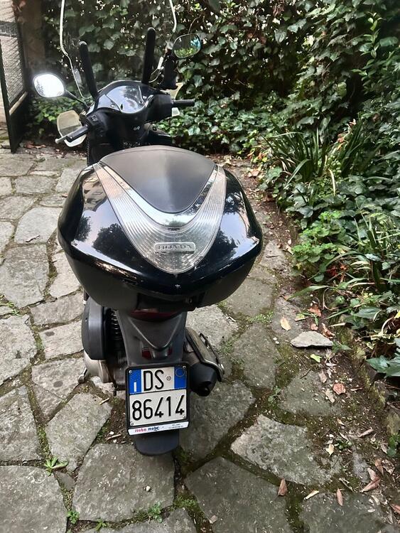 Honda SH 125 i (2009 - 12) (3)