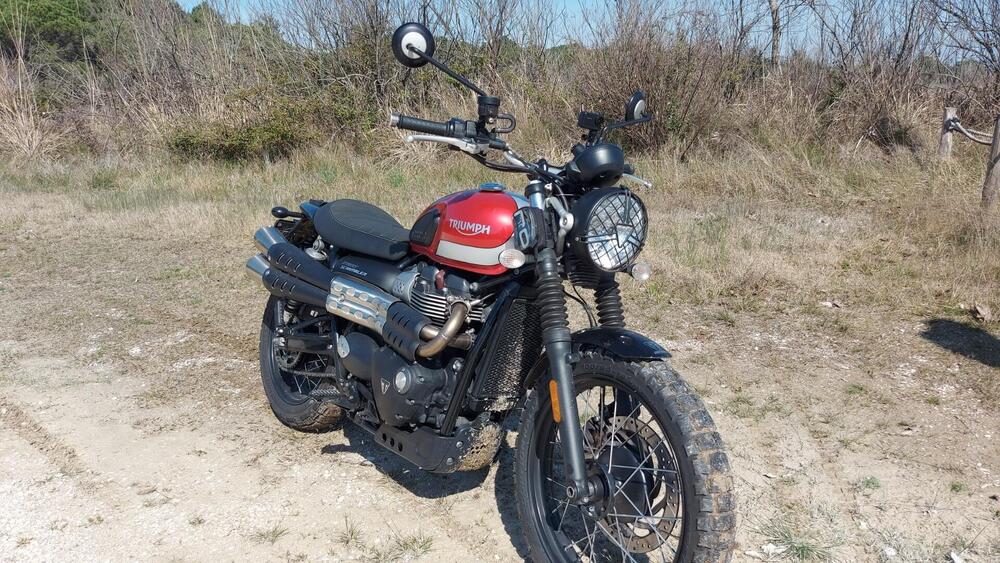Triumph Street Scrambler 900 (2017 - 18) (3)