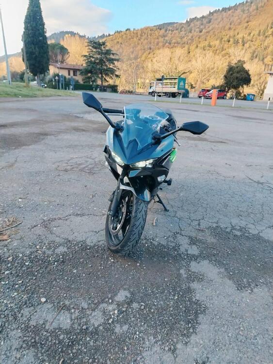 Kawasaki Ninja 500 (2024 - 26)