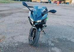 Kawasaki Ninja 500 (2024 - 26) usata
