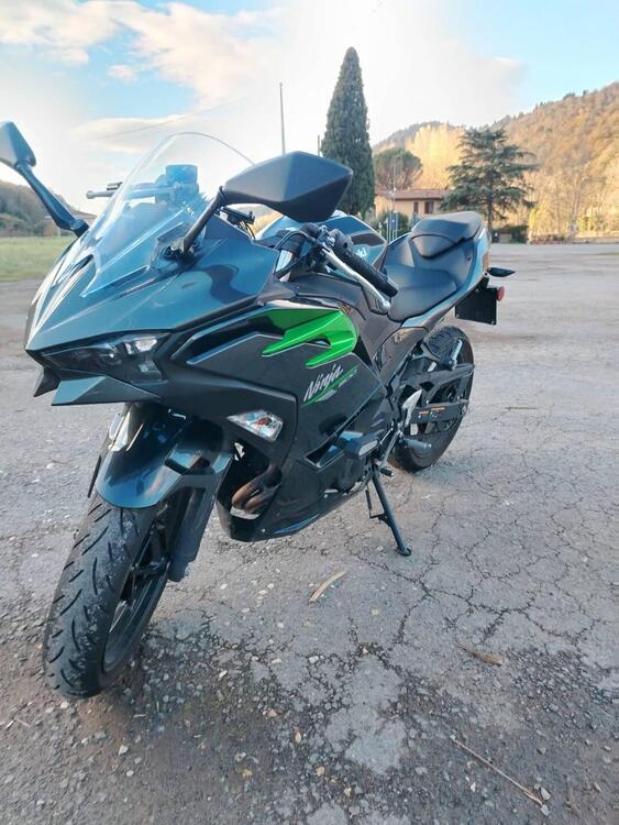 Kawasaki Ninja 500 (2024 - 26) (2)