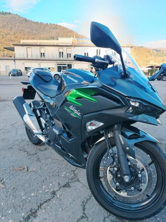 Kawasaki Ninja 500 (2024 - 26) (3)