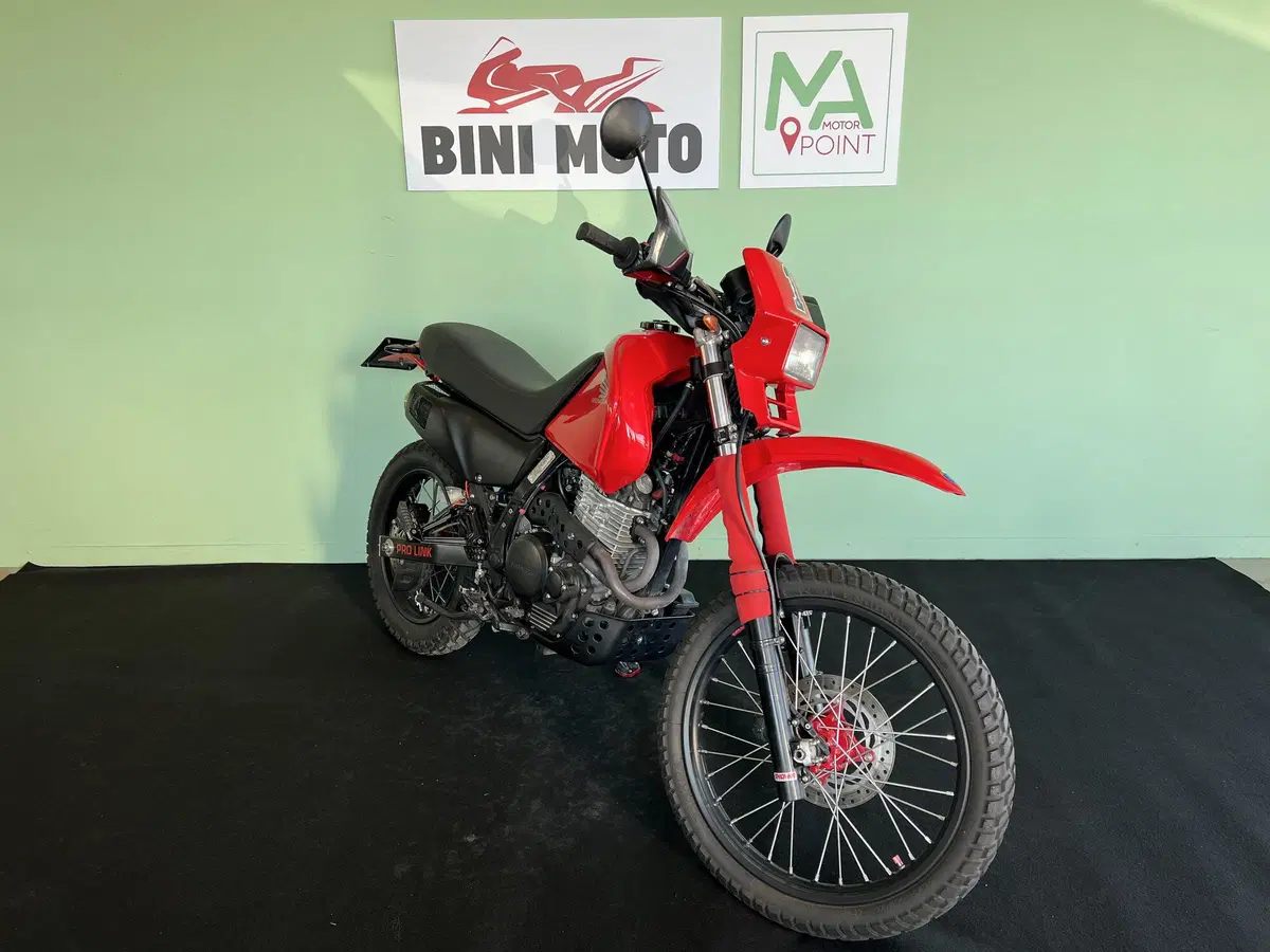 Honda NX 650 Dominator (1988 - 90) (2)
