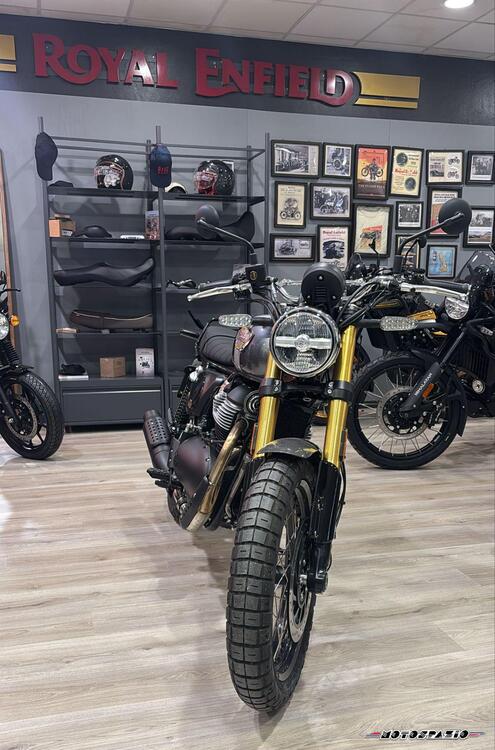 Royal Enfield Bear 650 (2025) (2)