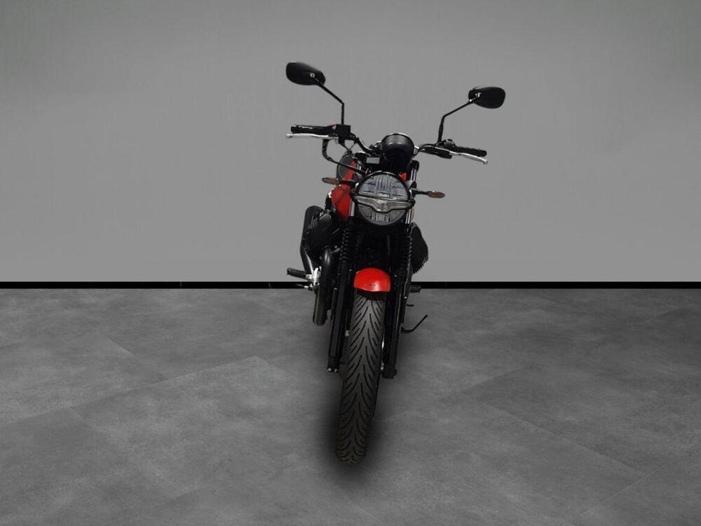 Moto Guzzi V7 Stone (2025) (3)