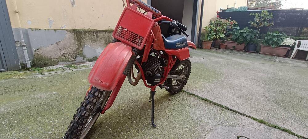 Malaguti grizly 10 (5)