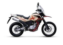 Swm Superdual 600 X (2025 - 26) nuova