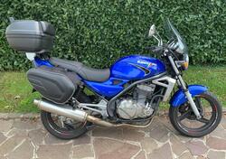 Kawasaki ER-5 500 (2001 - 06) usata