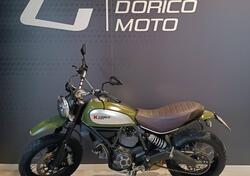 Ducati Scrambler 800 Urban Enduro (2015 - 16) usata