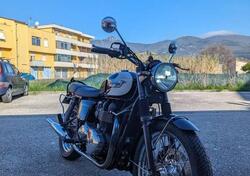 Triumph Bonneville T100 (2008 - 16) usata