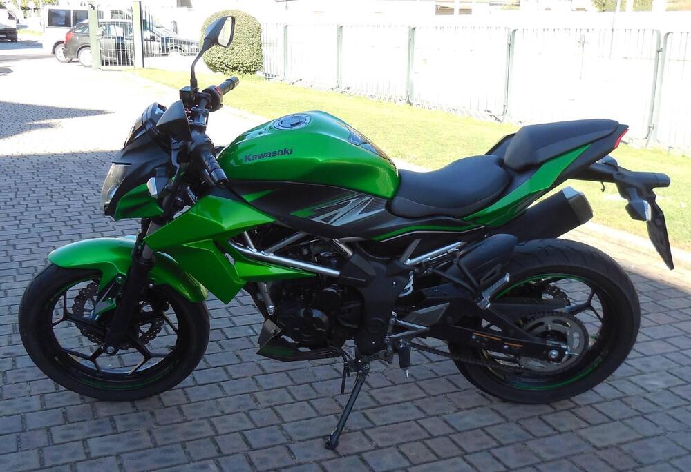 Kawasaki Z 125 (2019 - 20) (2)