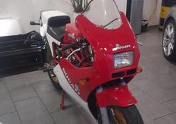 Ducati 750 F1 usata