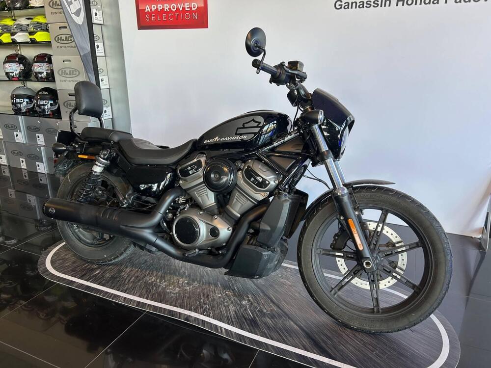 Harley-Davidson Nightster (2023 - 25) (3)