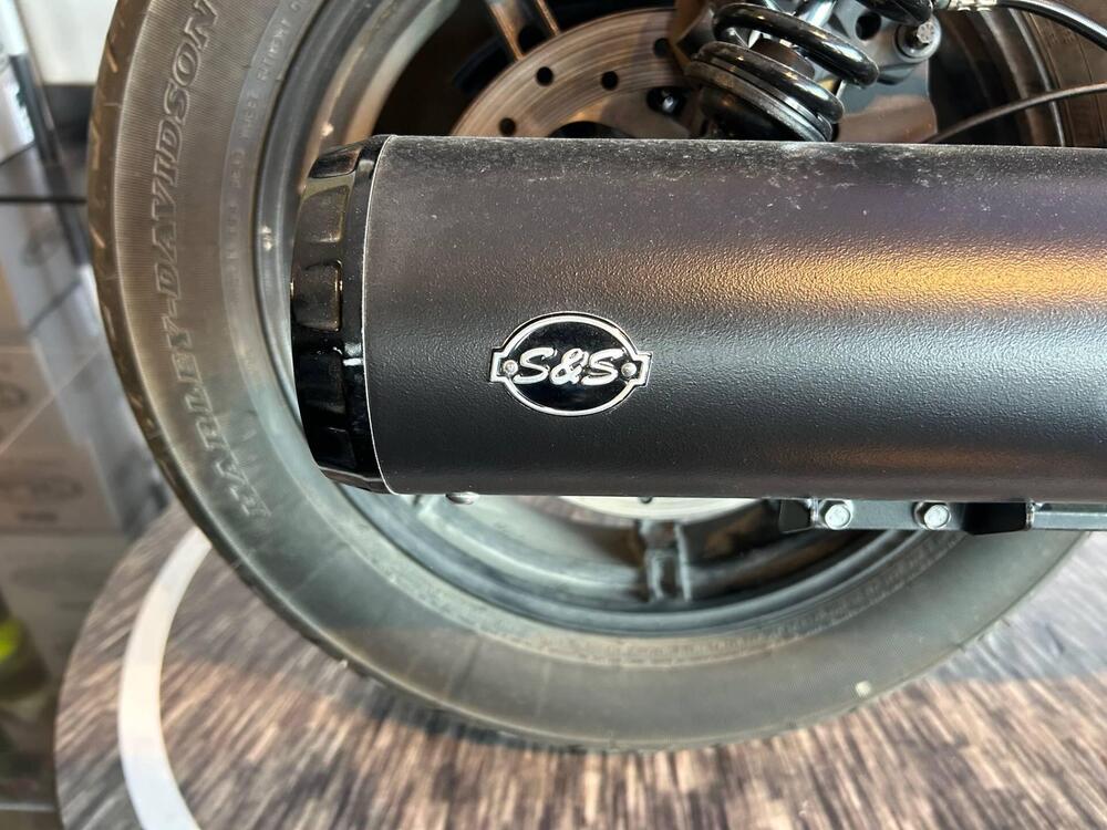 Harley-Davidson Nightster (2023 - 25) (4)