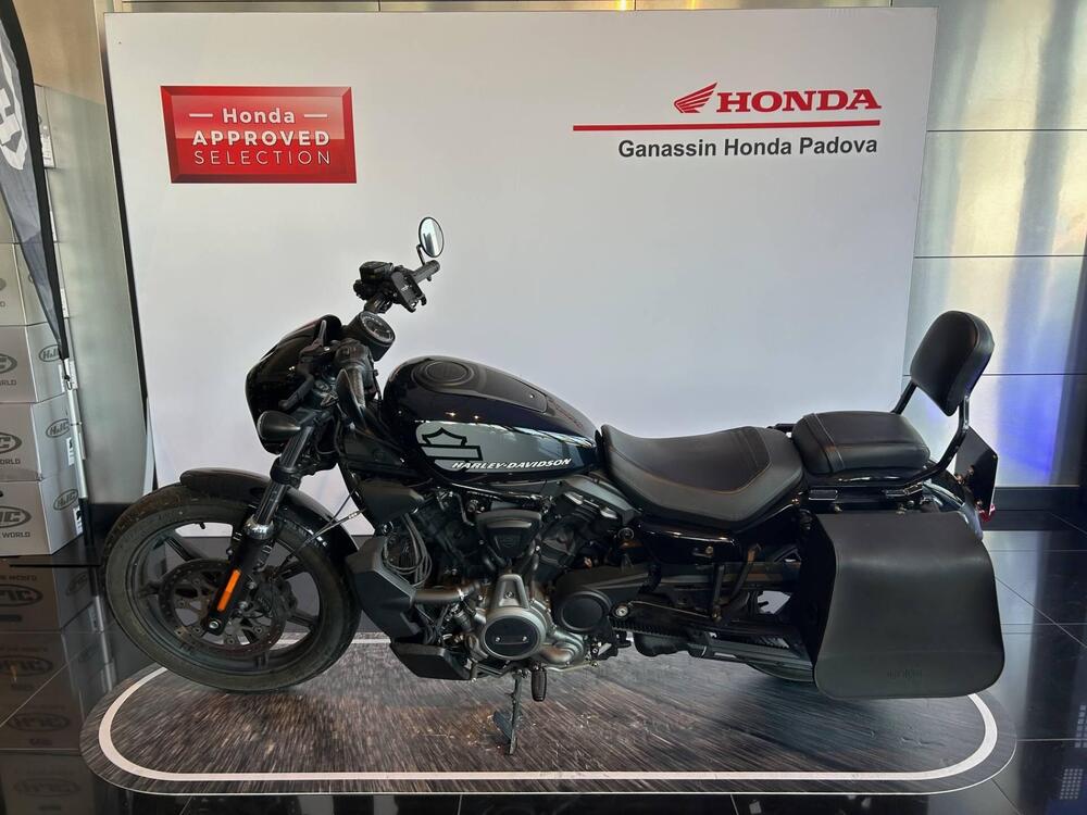 Harley-Davidson Nightster (2023 - 25) (5)