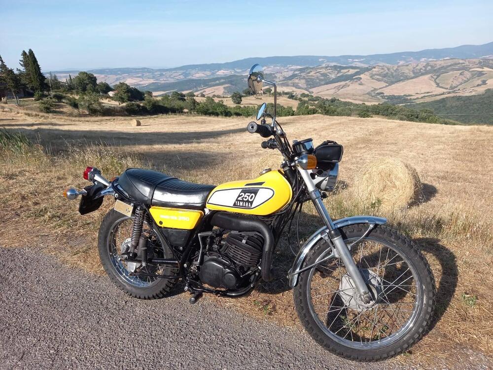 Yamaha dt250 (2)
