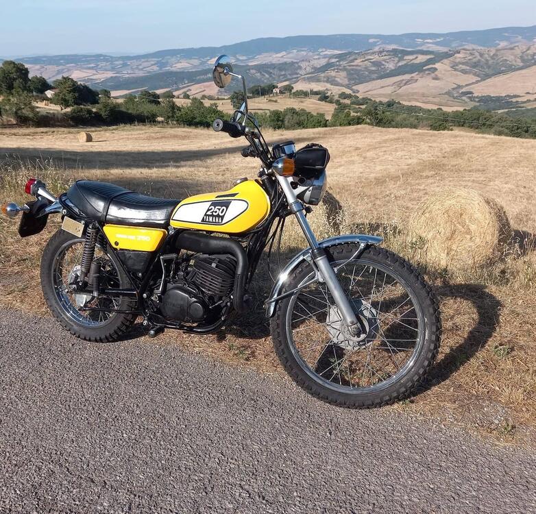 Yamaha dt250 (3)
