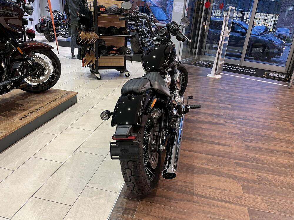 Harley-Davidson Street Bob 117 (2025) (4)