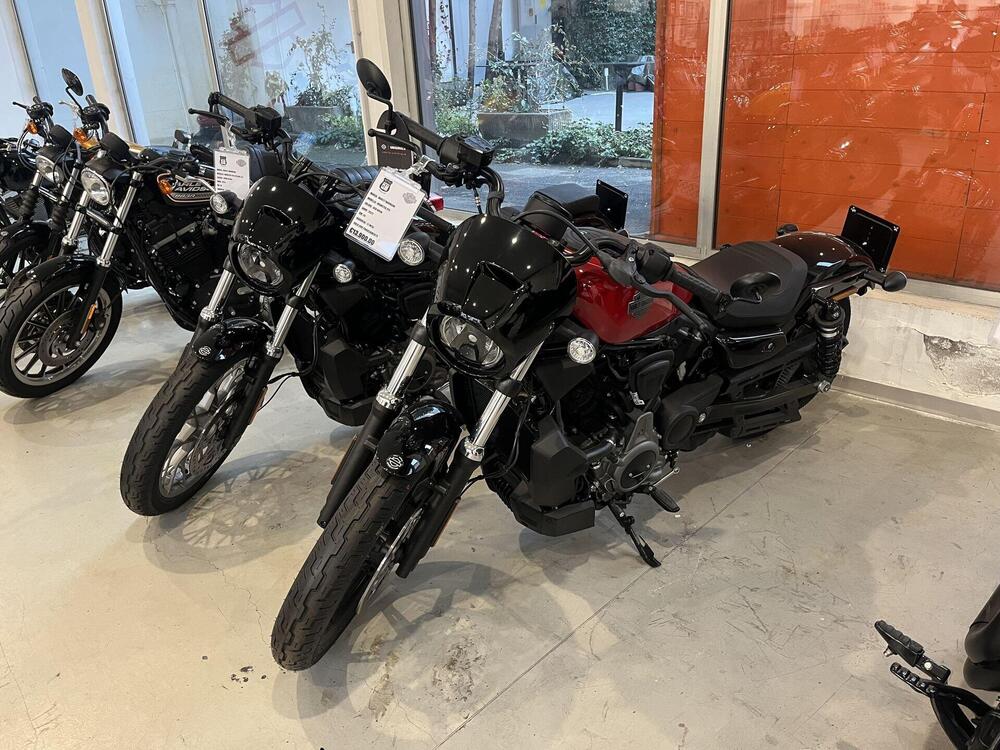 Harley-Davidson Nightster (2023 - 25)