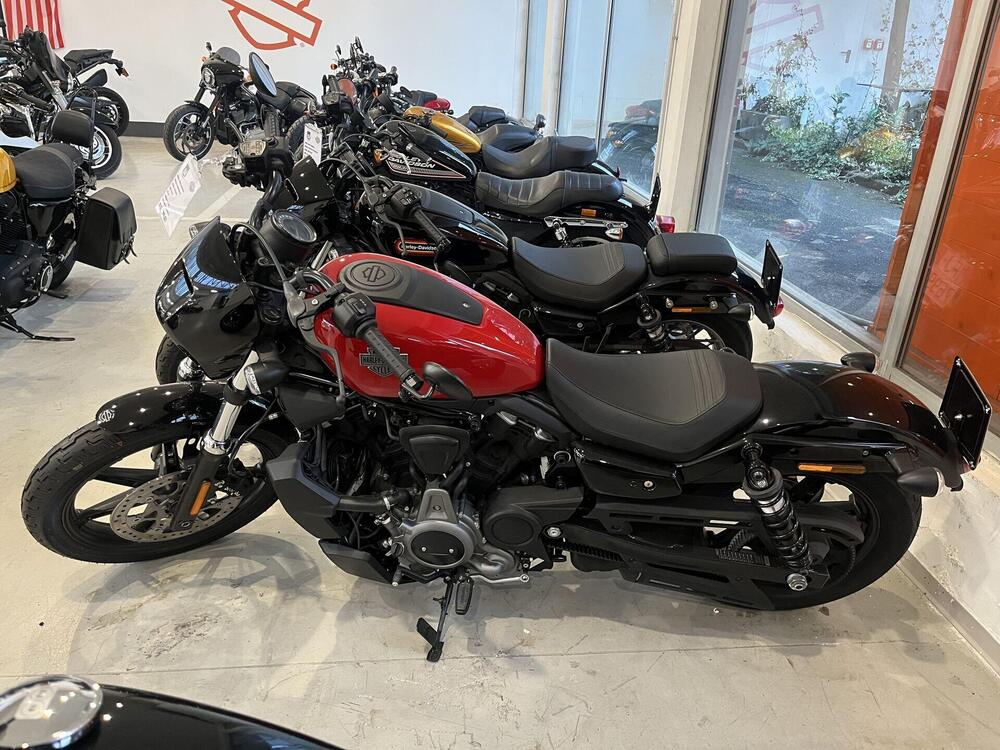 Harley-Davidson Nightster (2023 - 25) (2)