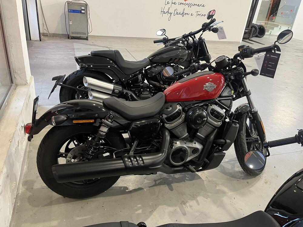 Harley-Davidson Nightster (2023 - 25) (4)