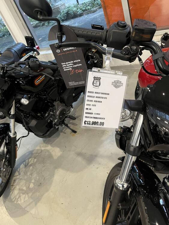 Harley-Davidson Nightster (2023 - 25) (5)