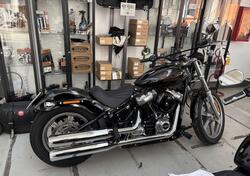 Harley-Davidson Softail Standard (2020) - FXST usata