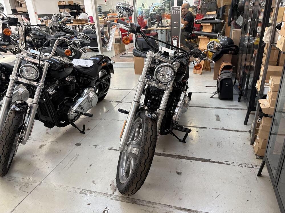 Harley-Davidson Softail Standard (2020) - FXST (2)