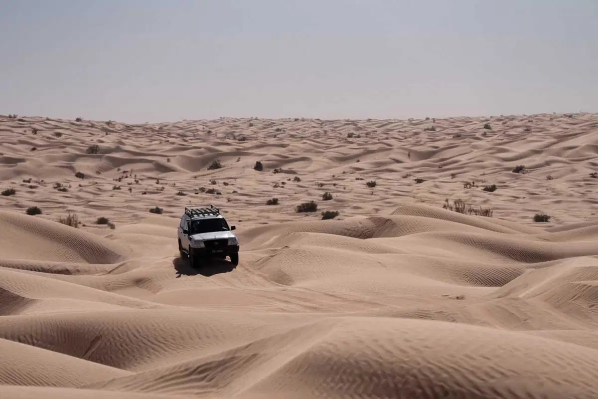 Tembaine Desert Rally 2025, quinto giorno: dal Camp Abdelmoula al cuore del Sahara (18)
