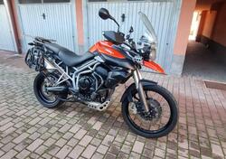 Triumph Tiger 800 XC (2011 - 12) usata