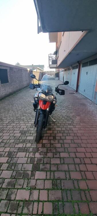 Triumph Tiger 800 XC (2011 - 12) (4)