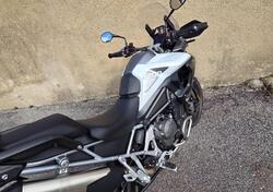 Triumph Tiger 1200 GT Pro (2022 - 23) usata