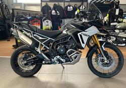 Triumph Tiger 900 Rally Pro (2024 - 25) usata