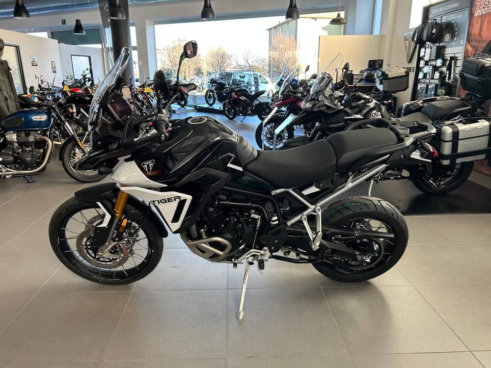 Triumph Tiger 900 Rally Pro (2024 - 25) (3)