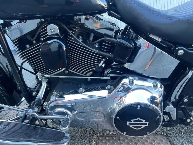 Harley-Davidson 1584 Deluxe (2007 - 08) - FLSTN (13)