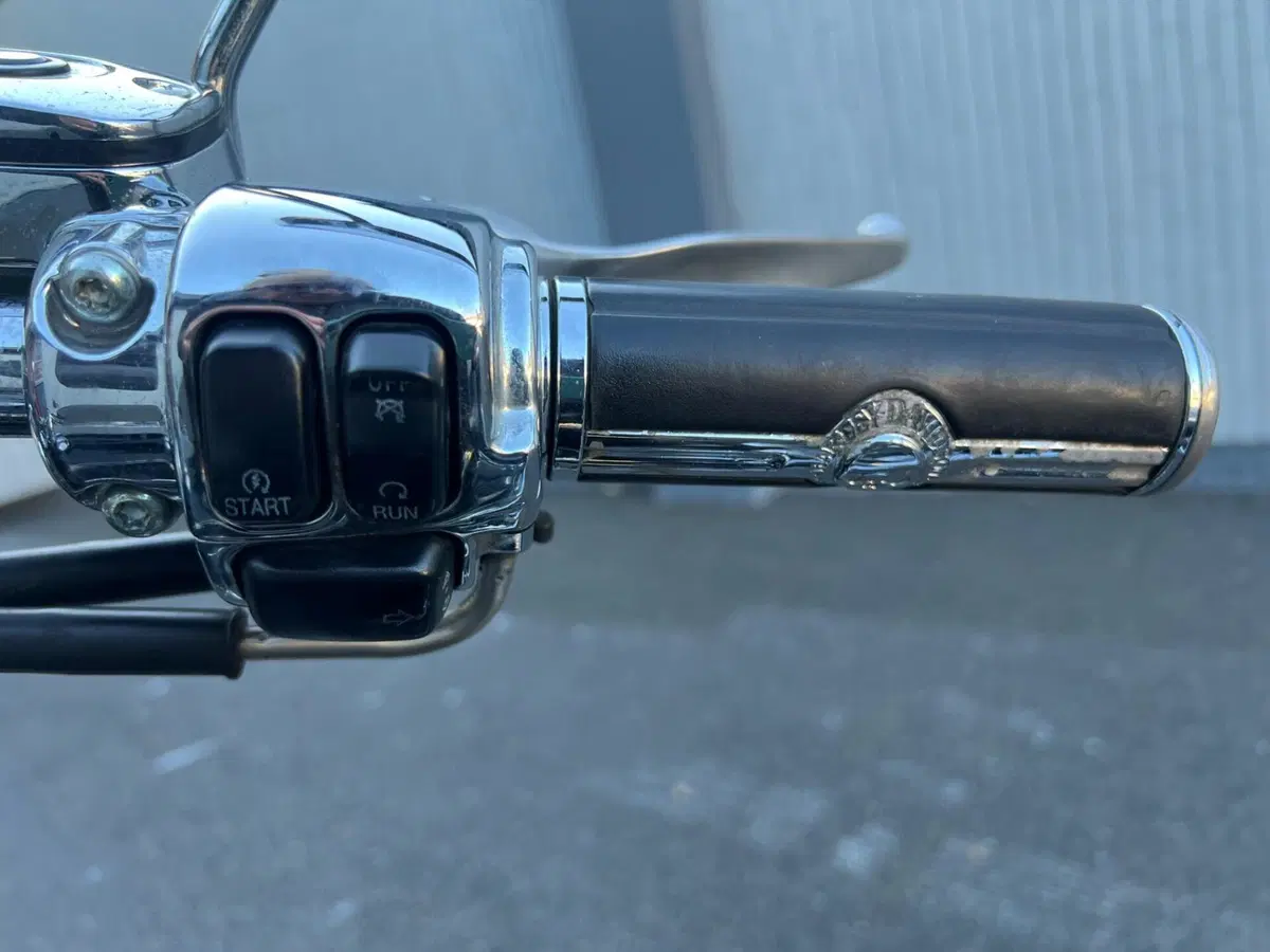 Harley-Davidson 1584 Deluxe (2007 - 08) - FLSTN (10)