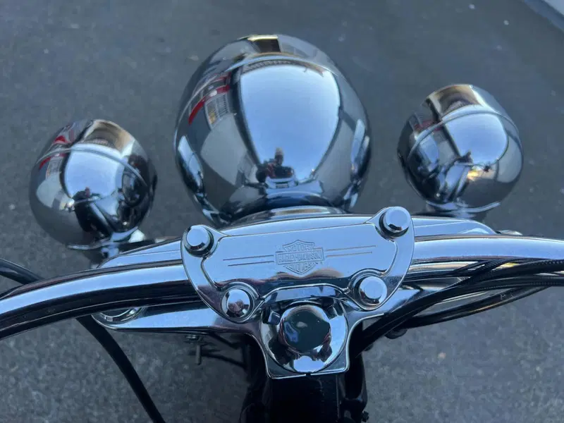 Harley-Davidson 1584 Deluxe (2007 - 08) - FLSTN (9)