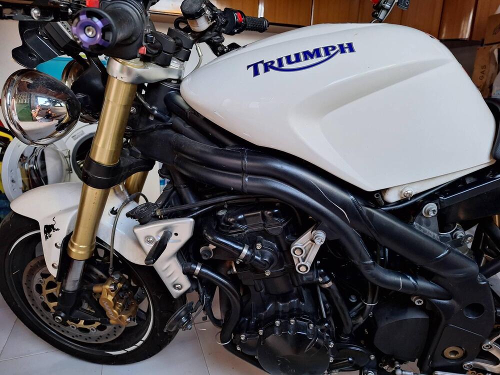 Triumph Speed Triple 1050 (2005 - 11) (3)