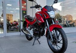 Honda CBF 125 (2008- 14) usata