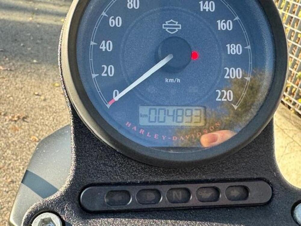 Harley-Davidson 883 Iron (2014 - 16) - XL 883N (5)