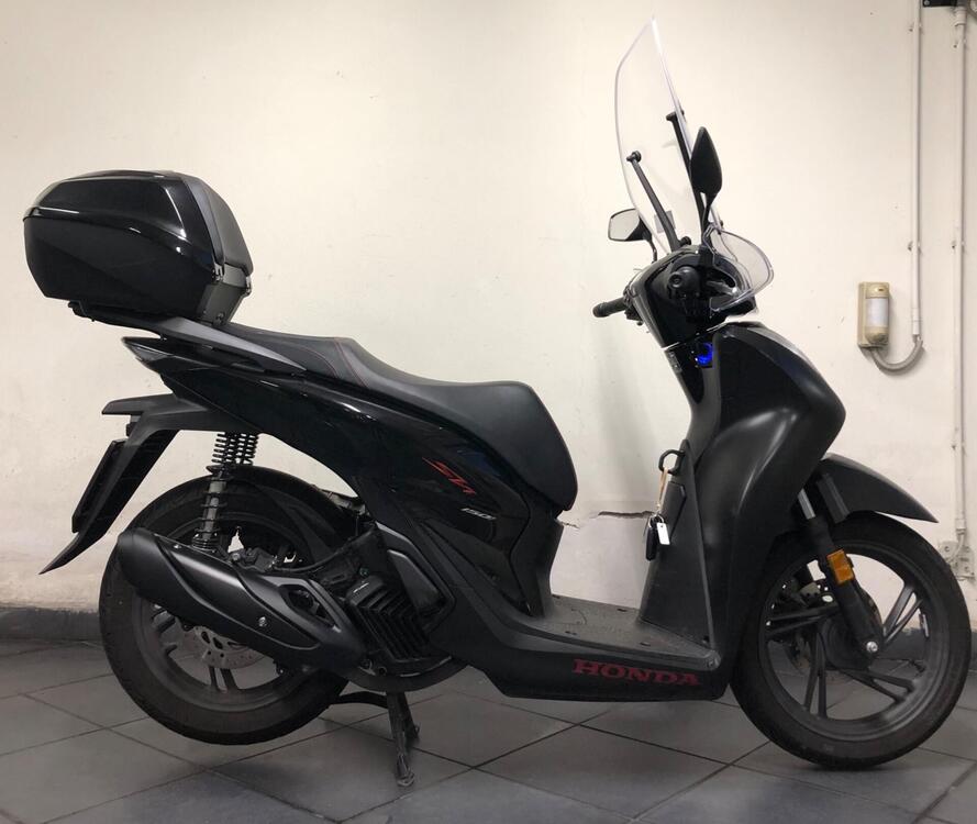 Honda SH 150i Sport (2024 - 25)