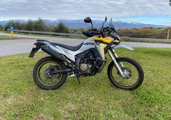 Voge Valico 300 Rally (2022 - 25) usata